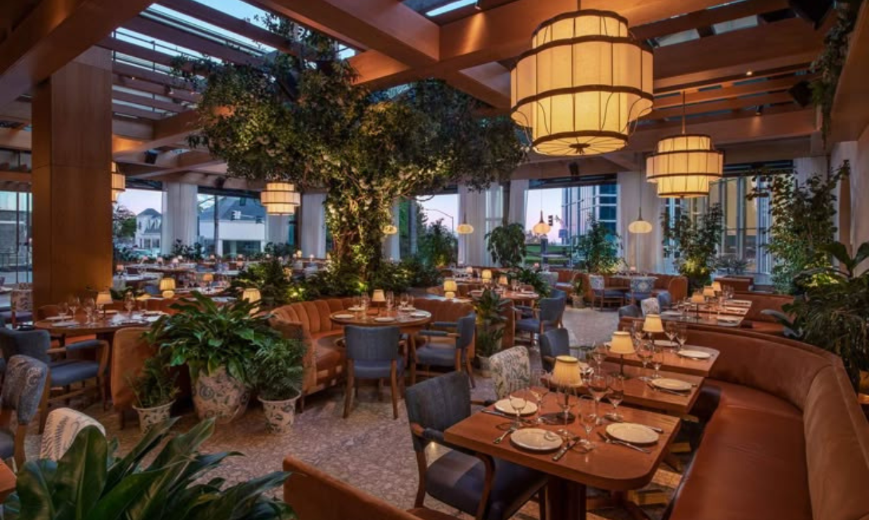 Modern Dining Experience Modern Dining Experience